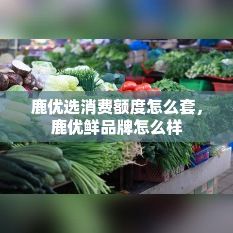 鹿优选消费额度怎么套,鹿优鲜品牌怎么样