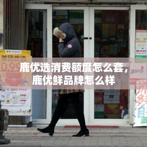 鹿优选消费额度怎么套,鹿优鲜品牌怎么样