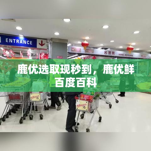 四川美术艺考排名，四川美术成绩排行榜2025