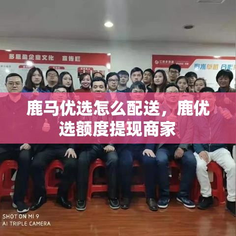 2025上半年收割机销量排行榜，2021年收割机销量