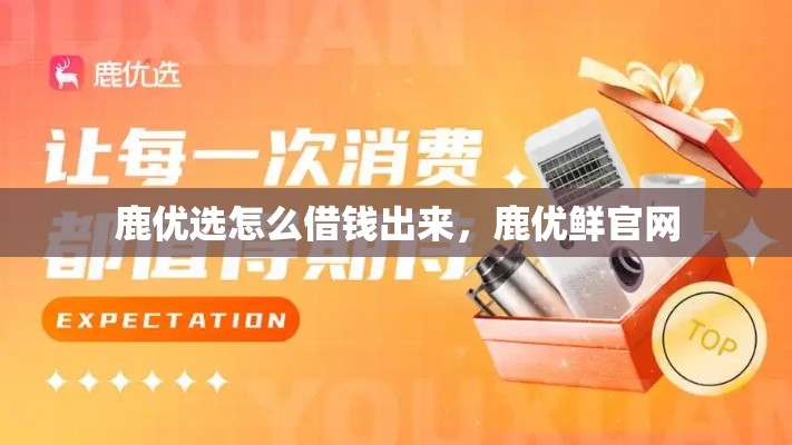鹿优选怎么借钱出来，鹿优鲜官网