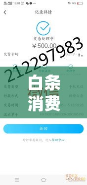 白条消费额度取现,白条取现额度和可用额度