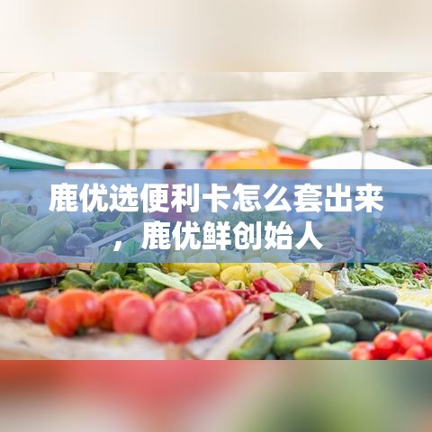 鹿优选便利卡怎么套出来,鹿优鲜创始人