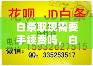 csgog2世界排名,cs2排行榜2025