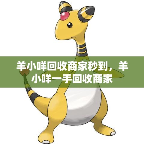 羊小咩回收商家秒到,羊小咩一手回收商家