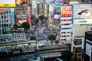 关于商业魅力城市排行榜2025的信息